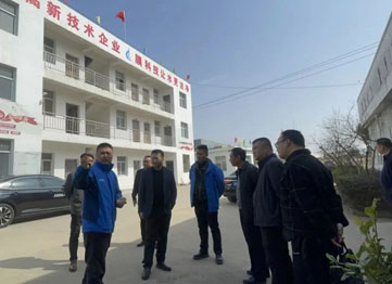 Leaders inspect and 
